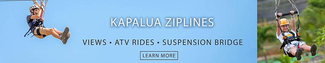 Kapalua Zipline Tours